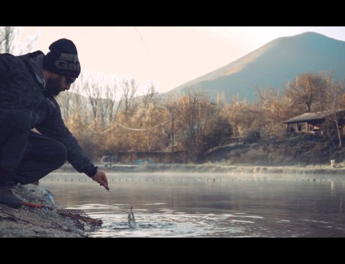 Video Trout Area Berkley Fishing